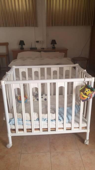 Har Nof Apartment エルサレム エクステリア 写真